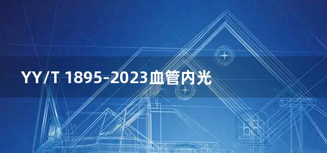 YY/T 1895-2023血管内光学相干断层扫描成像设备